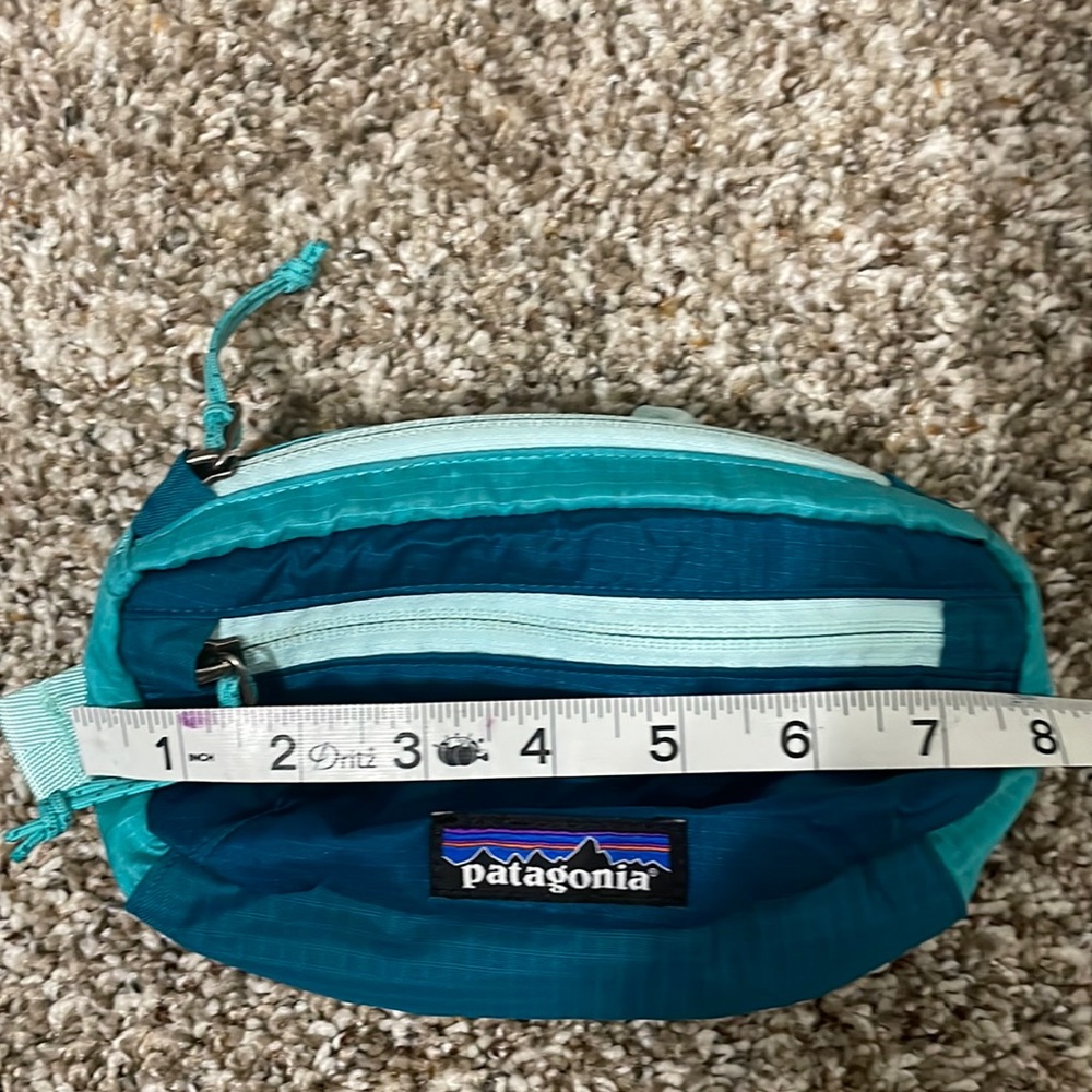 Patagonia belt bag